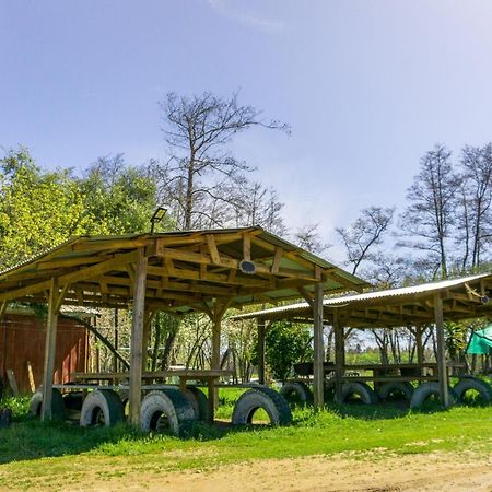 Coyunche Cabanas Y Camping Laja & San Rosendo Экстерьер фото