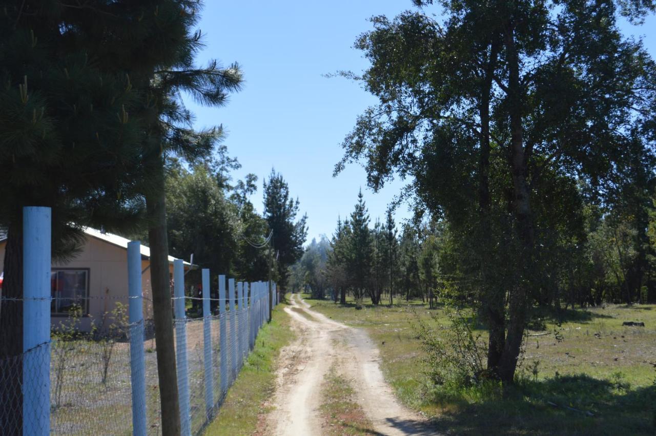 Coyunche Cabanas Y Camping Laja & San Rosendo Экстерьер фото