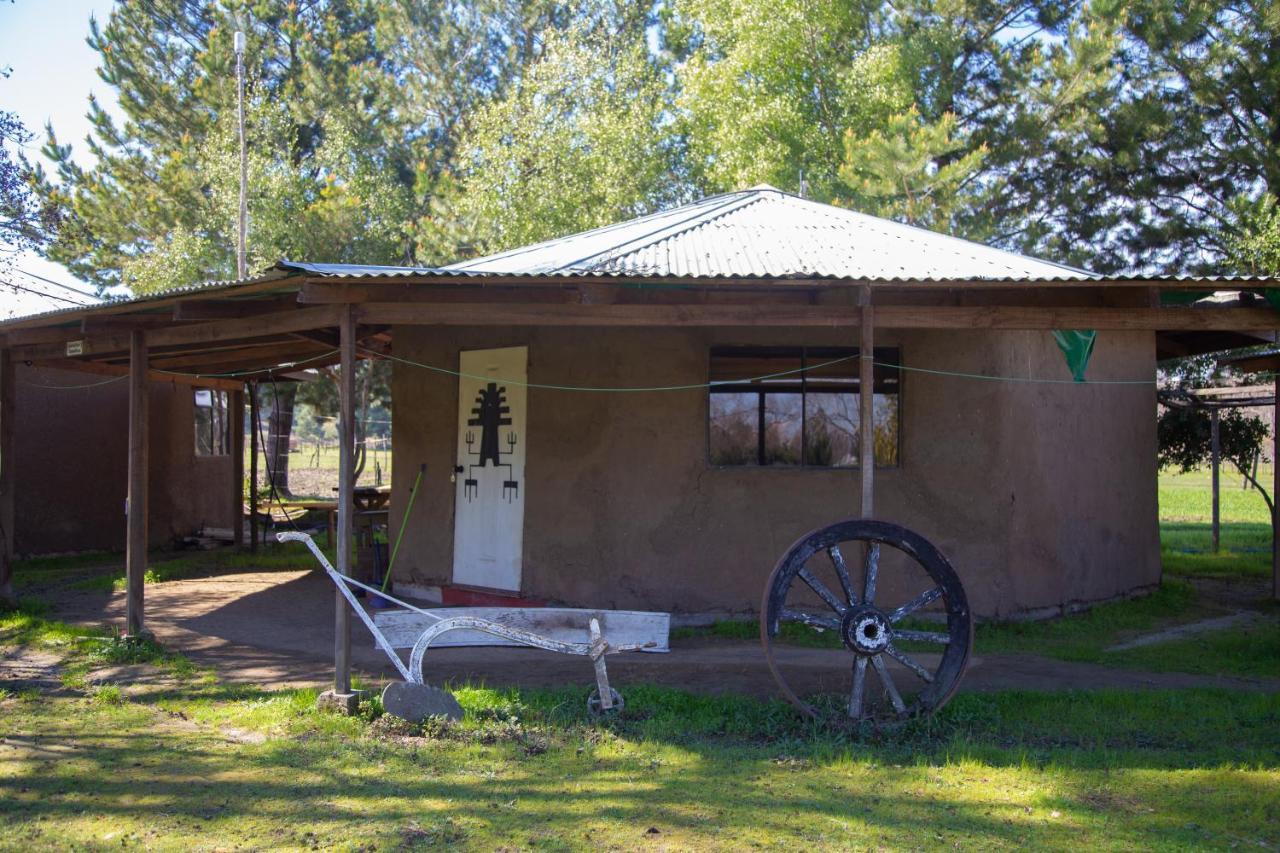 Coyunche Cabanas Y Camping Laja & San Rosendo Экстерьер фото